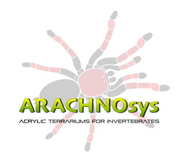 arachnosys