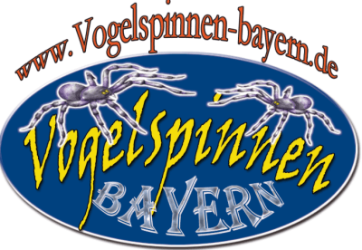 Vogelspinnen Bayern